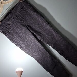 Rock & Republic RX Fever Pull-On Denim Zebra Straight Leg jean 16L blue black